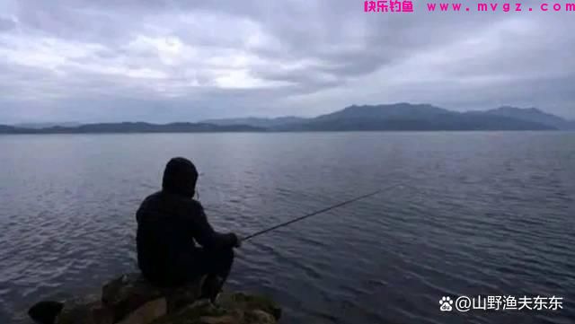 深秋钓鲫鱼，学会这些方法和技巧，上鱼效果明显