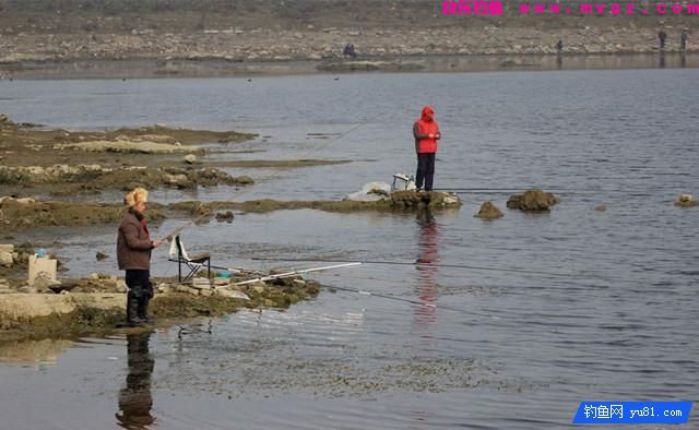 钓鱼实用技巧：冬钓深浅？老钓友教你浅水选择钓点钓鱼技巧