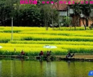 春季鱼都藏在这些地方，钓鱼黄金季节这些钓点渔获翻倍