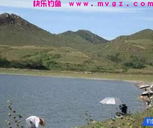 春江水暖鱼先知，春钓大鲫正当时，几个春钓技巧助你渔获多多
