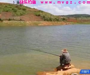 一年四季，水库旁钓点的选位，精确掌握不怕