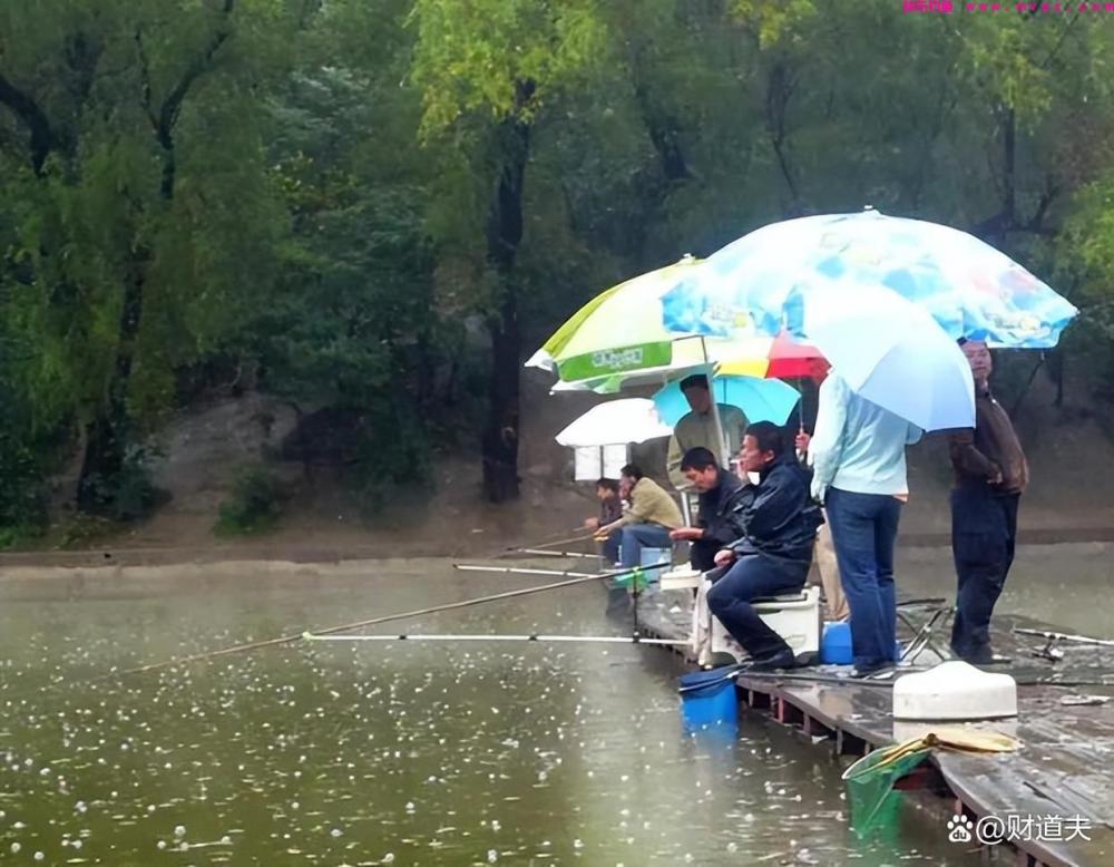 想在雨季顺利钓鱼？这些技巧必须掌握！
