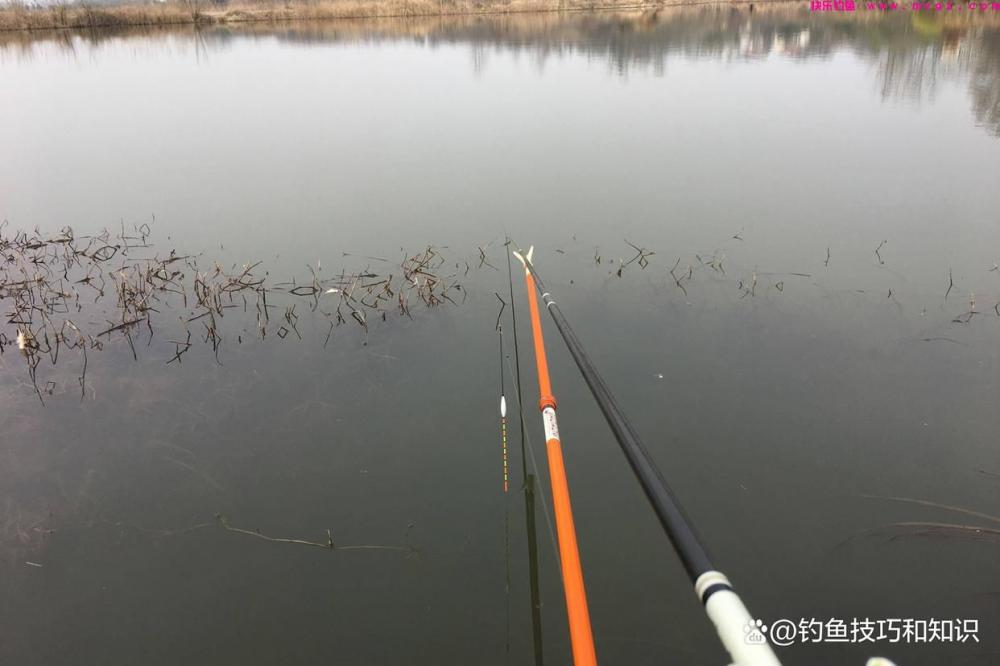 春天钓鱼的小秘诀，好用的长短竿钓法，黑坑和野钓都好用