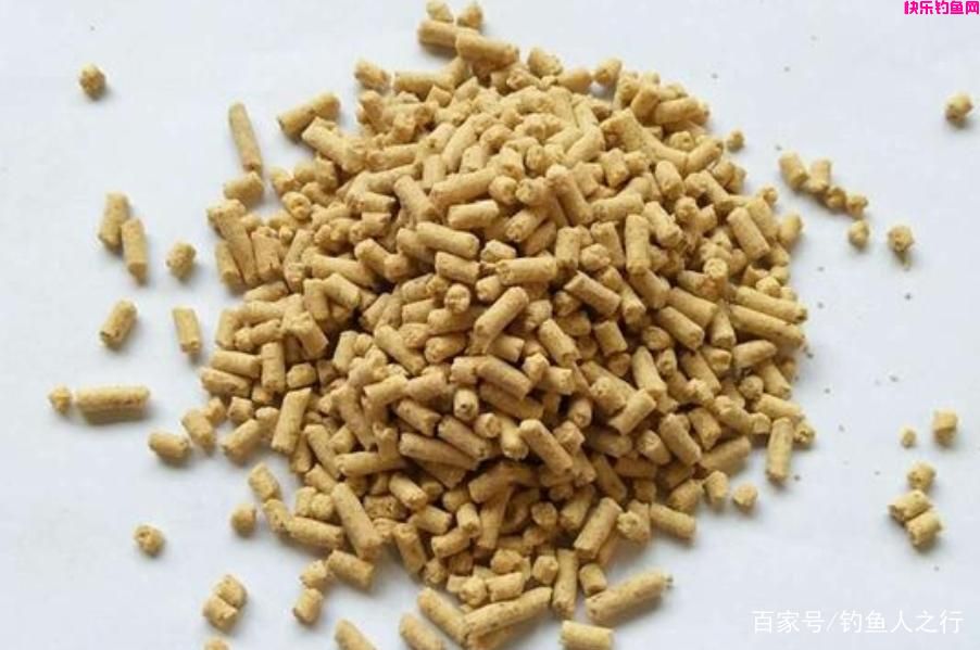 大板鲫最爱吃的饵料，制作简单又省钱，每次钓完还想钓，特别好用