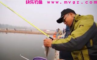 秋季在水库湖泊钓草鱼技巧以及饵料、窝料配方