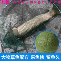冬季不想收竿的大草鱼玩法，巨物来多少就能钓多少！