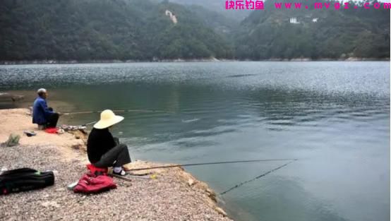 还不知道怎么钓鲤鱼？记住这4个“绝密”位