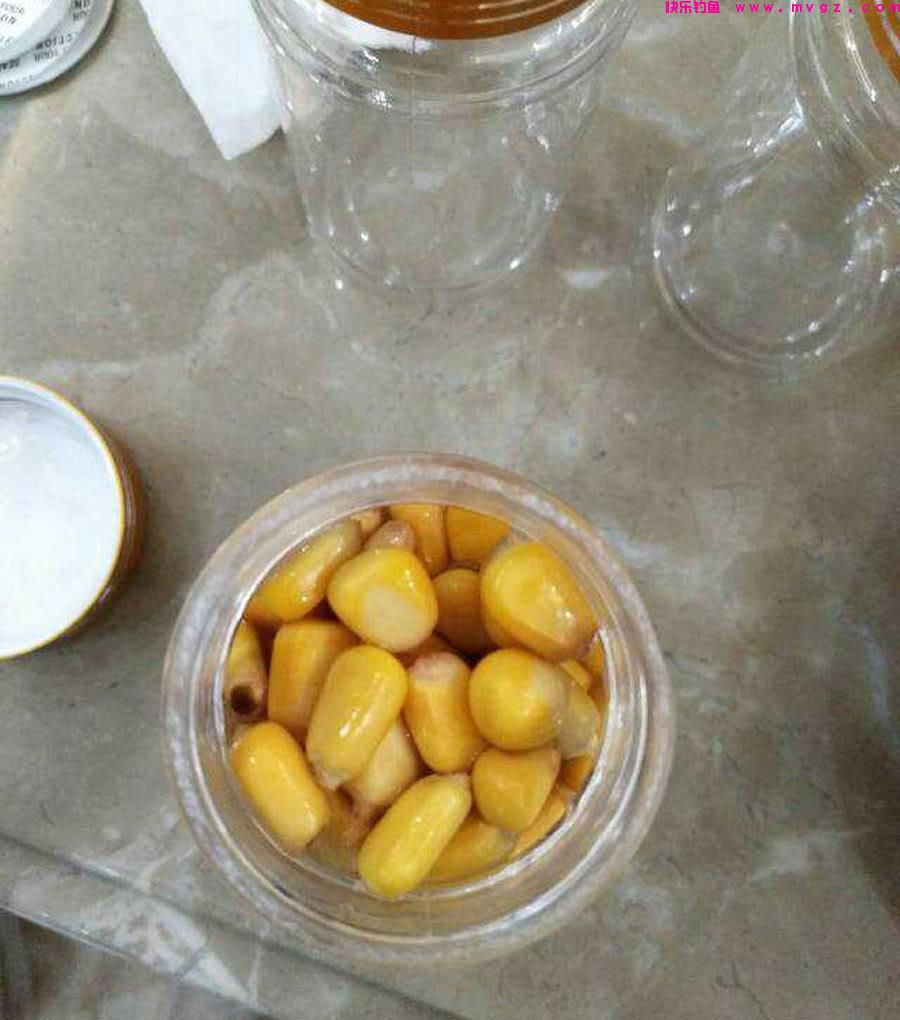 玉米钓鲤鱼有窍门，技巧全在这里，学会后鲤鱼排队咬钩