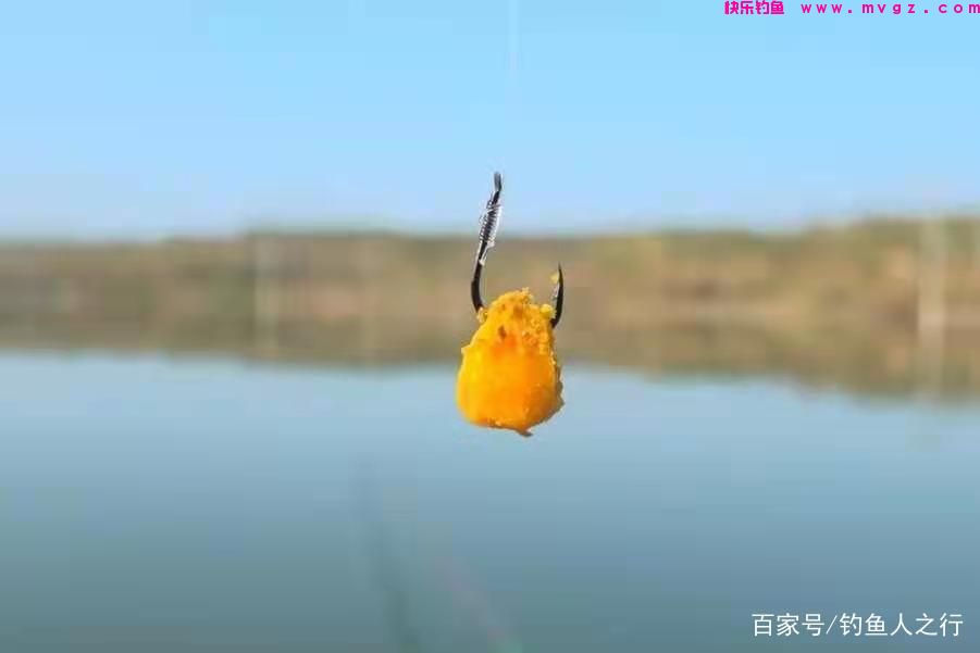 春天手竿钓鲤鱼的攻略与窍门，低密度也可以，只要水里有