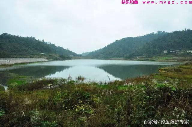 怎样钓鲤鱼最快爆护？钓鱼高手，分享钓鲤鱼4大绝招