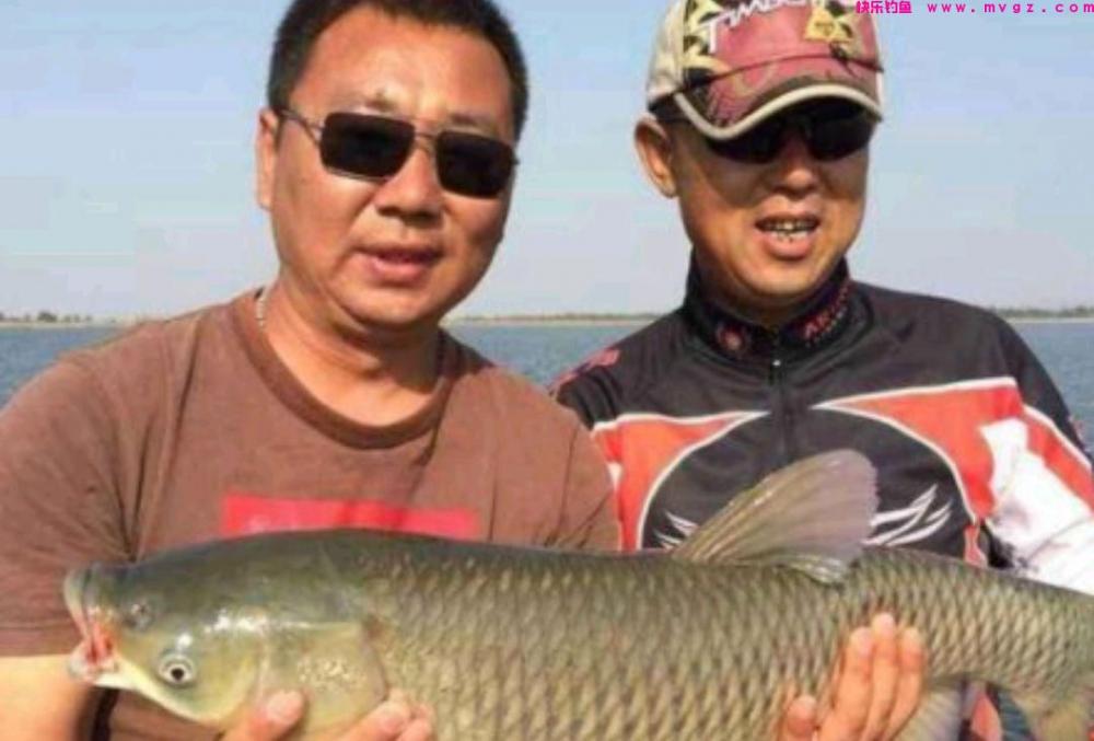 喜欢钓鲢鳙的钓友有福了，邓刚和崔炳亮难得