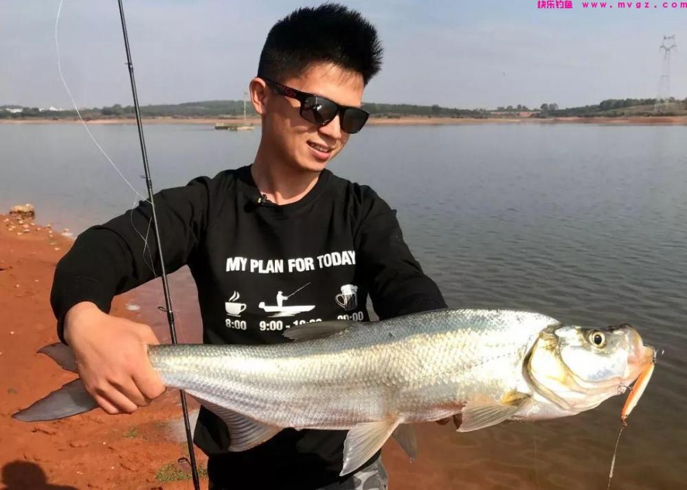浮钓鲢鳙翘嘴的5个小技巧，野钓黑坑都有奇效，每次都能爆护