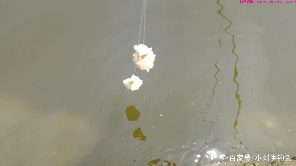 夏季手竿钓鲢鳙，为何你的鲢鳙饵总是一抛就掉，问题就出在这！