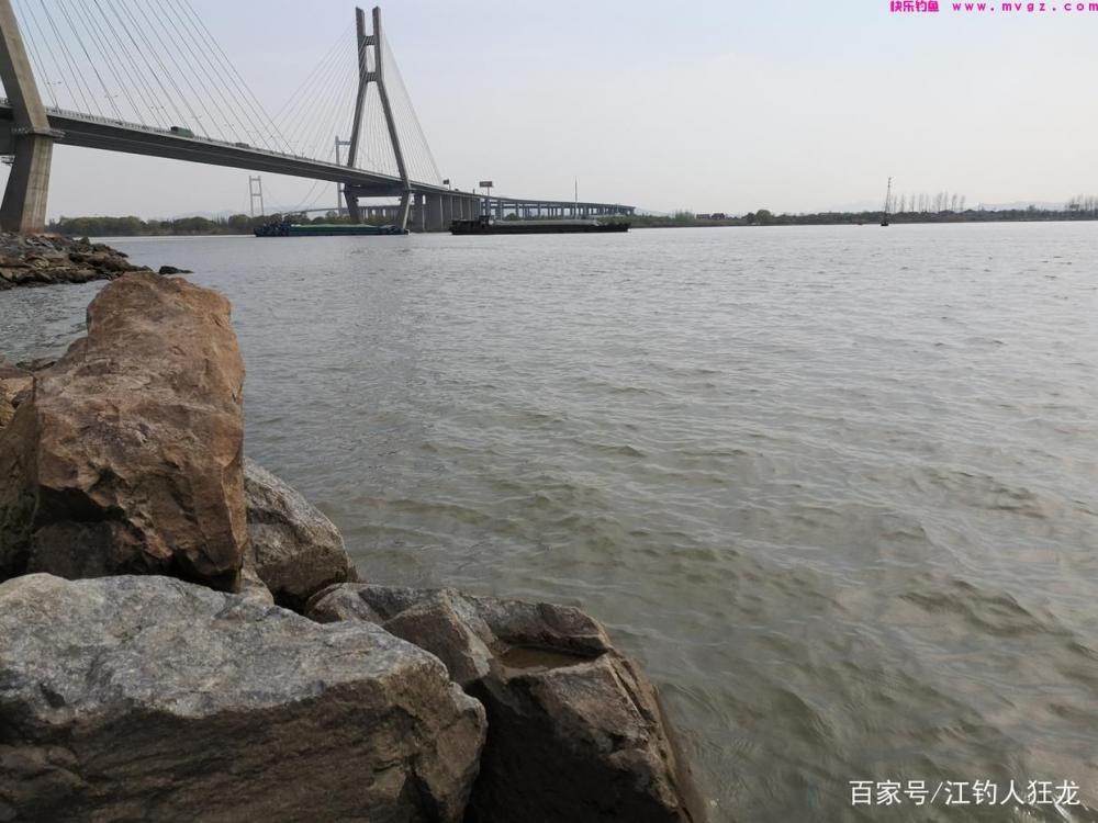 江里钓鲢鳙，掌握了这些门道，其实就是钓傻瓜鱼