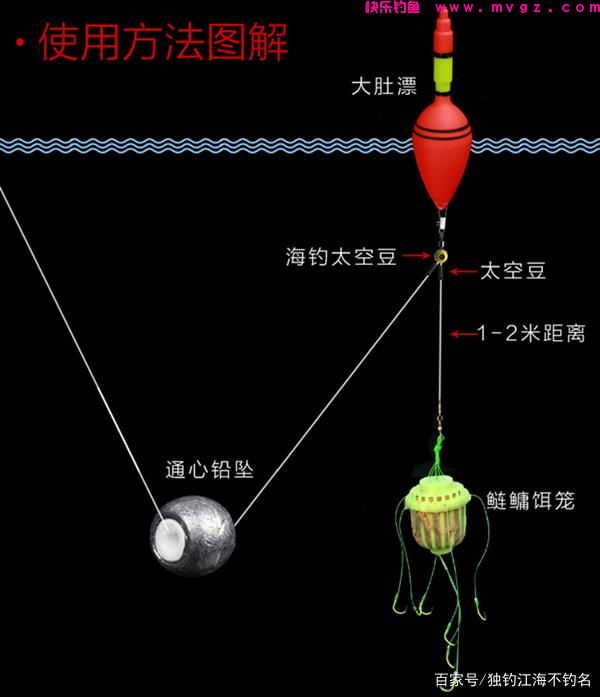身经百战总结出来的鲢鳙钓法，想吃剁椒鱼头的快看看