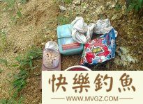 春日天塘小钓渔获鳊鱼鲫鱼图享