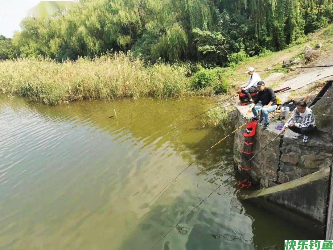 春季钓鲫鱼，牢记一钓二不三勤，照做的钓友渔获都不差