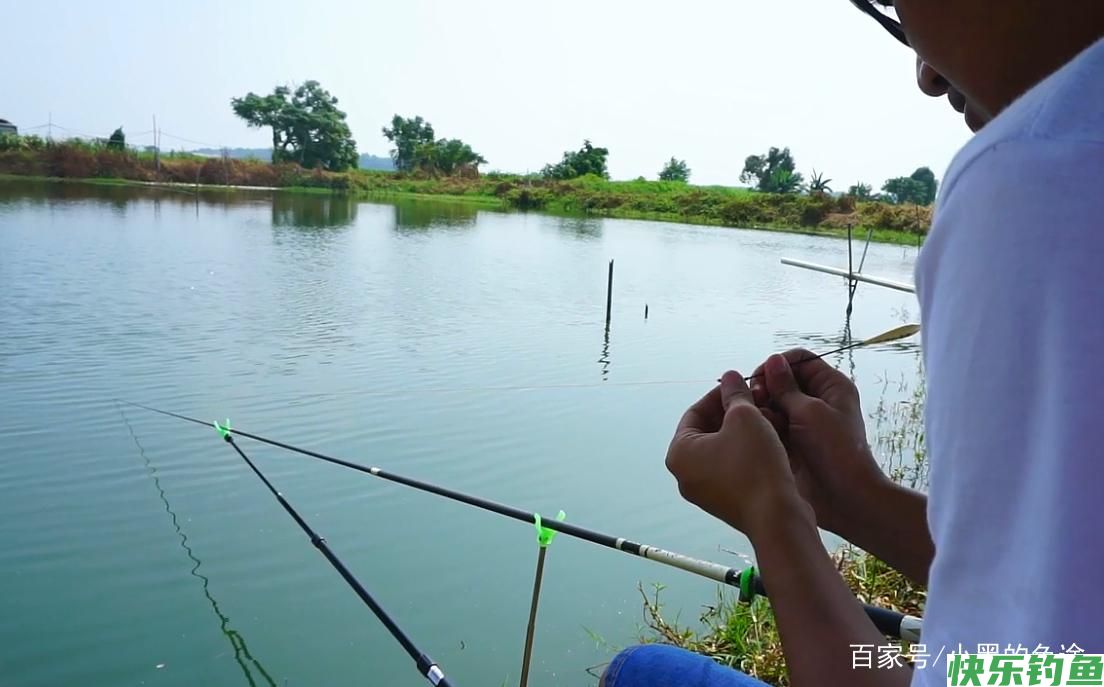 野钓鲫鱼该调几钓几？三种方案应对所有鱼情，这套思路钓王都在用