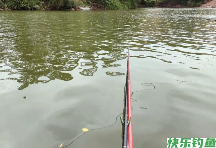 夏季野钓有规律，牢记5条“铁律”，可轻松
