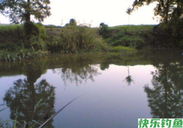垂钓鳊鱼的经验和技巧，看看老钓友的分享，还怕没有渔获吗？