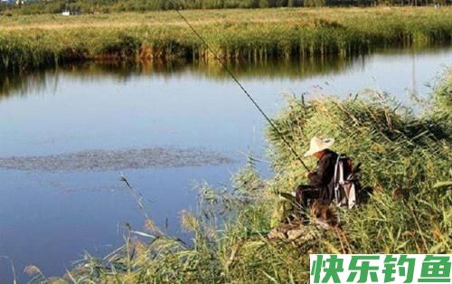 天一热鳊鱼最好钓，牢记这三点技巧，轻松爆护满载而归