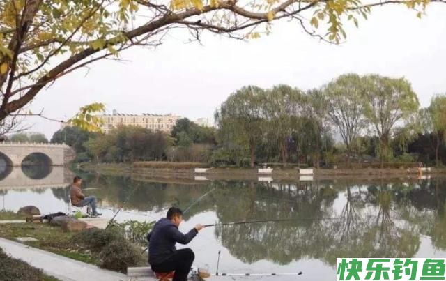 垂钓鳊鱼一定要注意这几点，学会这些，就等着爆护吧