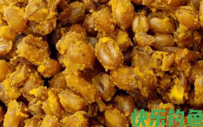 夜钓鲤鱼用什么打窝比较好？
