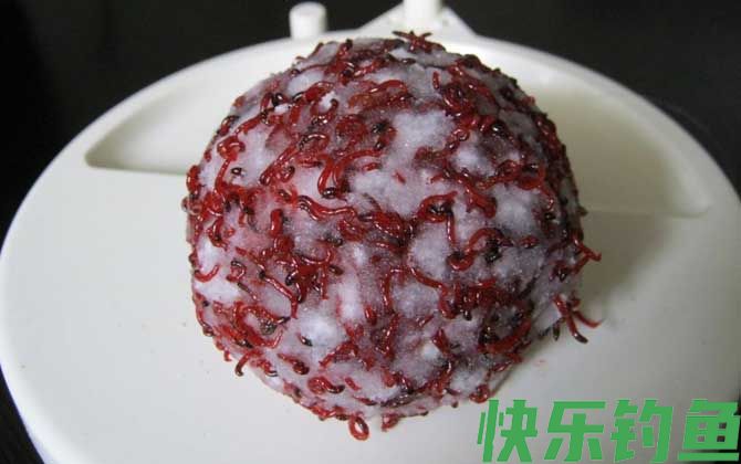 红虫拉饵怎么开饵效果才好？