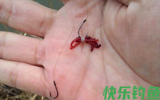 红虫是什么的幼虫?