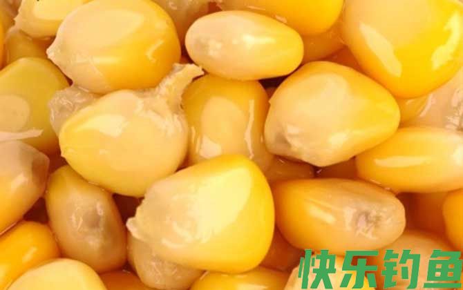 钓草鱼最顶级的绝杀饵