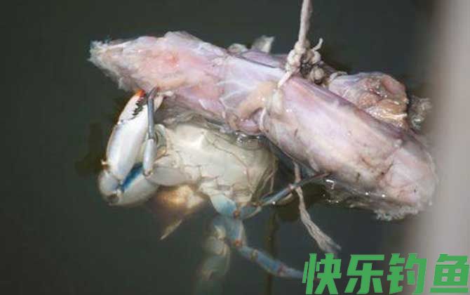 钓螃蟹的最快方法