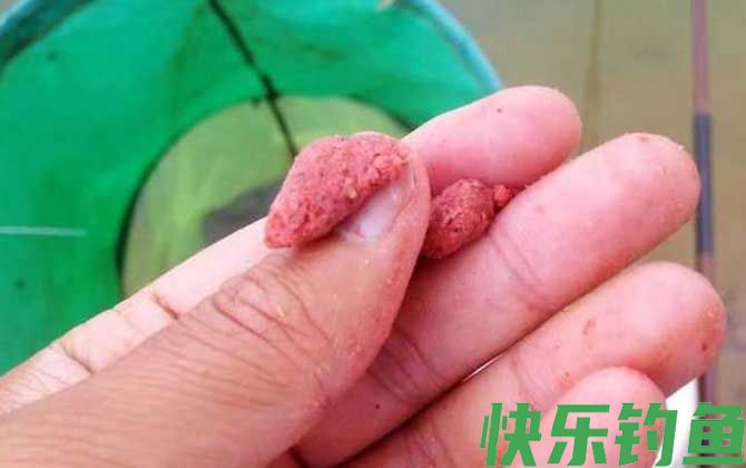 饵料