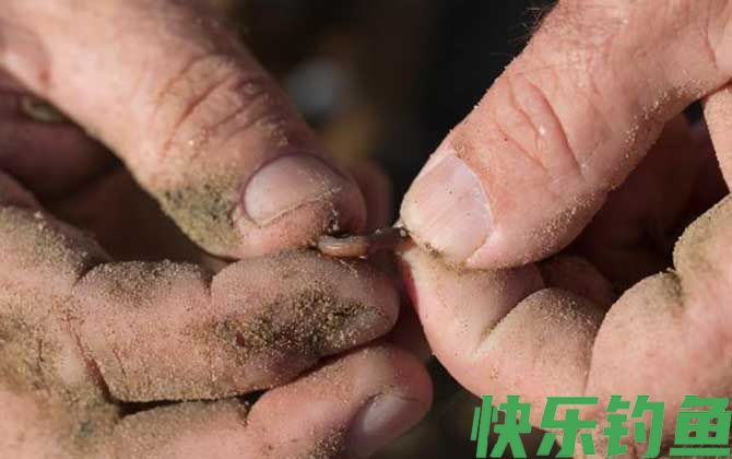 蚯蚓钓鱼