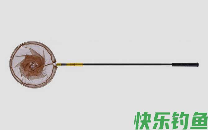 抄网