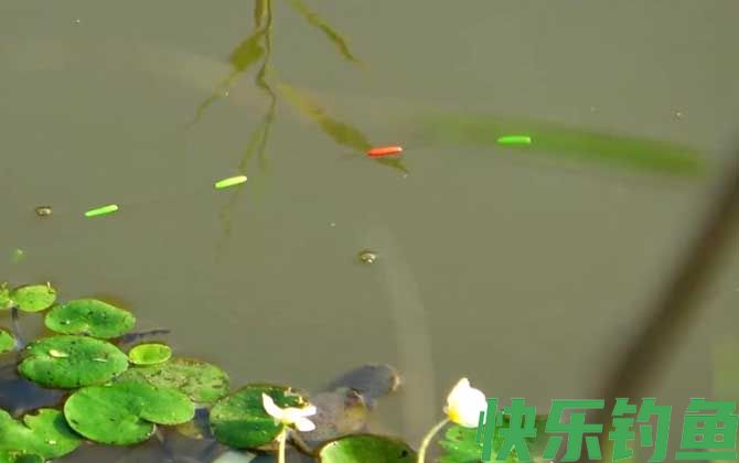 浮漂