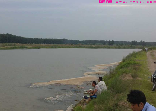 夏季垂钓青鱼、草鱼之我见，希望这些小技巧