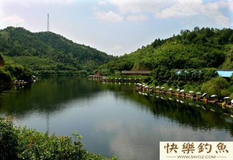 冬季节钓鱼技巧，刮风天钓点选择上风口还是