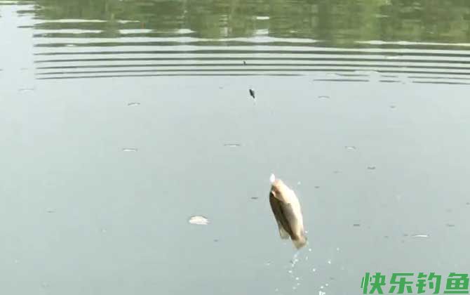 冬季钓鱼