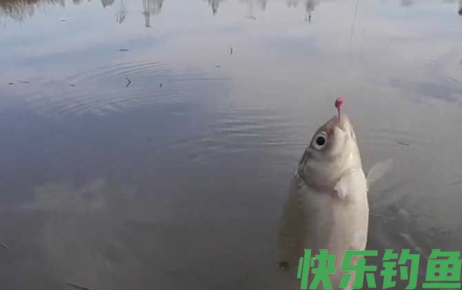八月份钓鱼