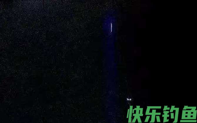 电子夜光漂