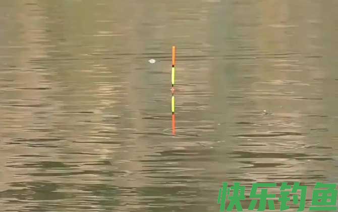夏季钓鱼