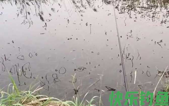 夏季钓鱼