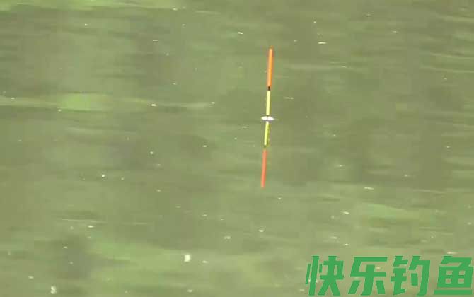调五目钓二目