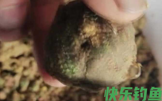 爆炸钩