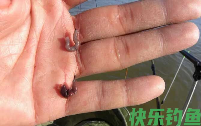 常用的天然钓鱼饵料有哪些？