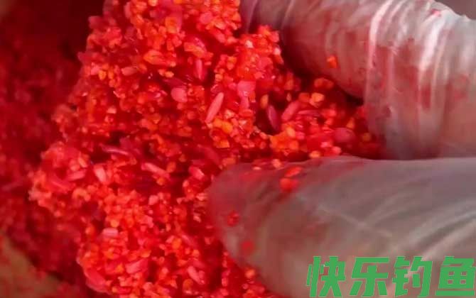 冬季钓鱼用什么酒米打窝？