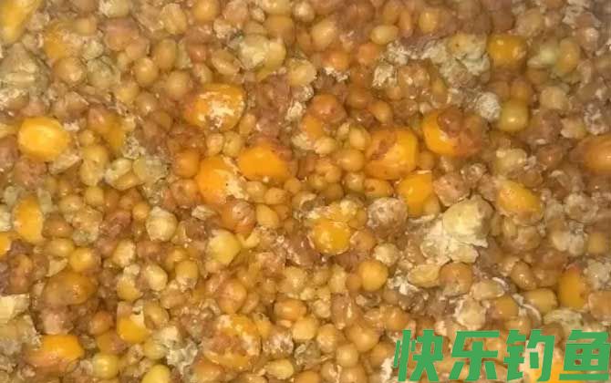 钓草鱼老玉米怎么泡制?