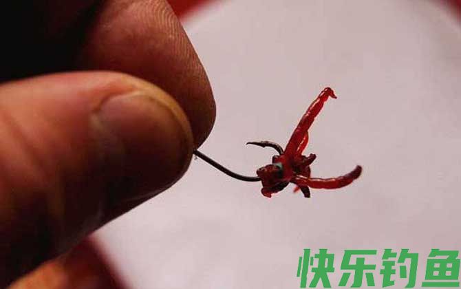 夏季钓鱼用红虫还是蚯蚓？