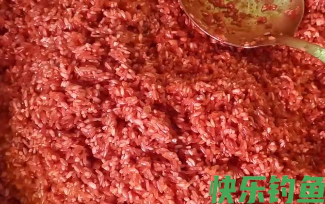 酒米打窝用什么饵料钓鱼?