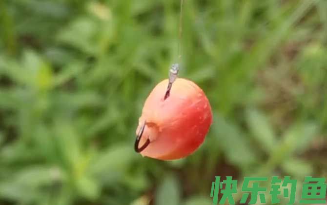 八月钓鱼用什么饵料最好？